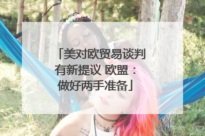 美对欧贸易谈判有新提议 欧盟：做好两手准备