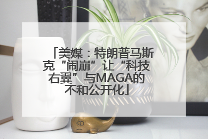 美媒：特朗普马斯克“闹崩”让“科技右翼”与MAGA的不和公开化
