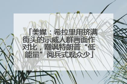 美媒：希拉里用挤满街头的示威人群画面作对比，嘲讽特朗普“低能量”阅兵式观众少