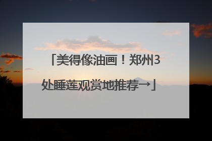 美得像油画！郑州3处睡莲观赏地推荐→