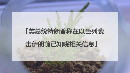 美总统特朗普称在以色列袭击伊朗前已知晓相关信息