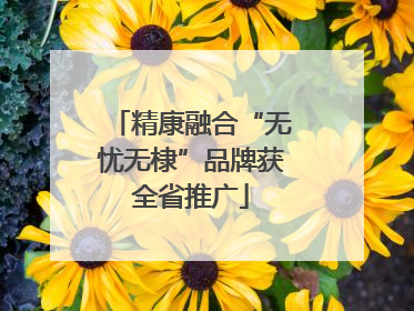 精康融合“无忧无棣”品牌获全省推广
