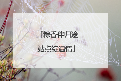 粽香伴归途 站点绽温情