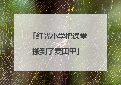 红光小学把课堂搬到了麦田里