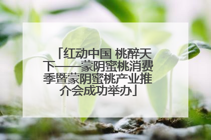 红动中国 桃醉天下——蒙阴蜜桃消费季暨蒙阴蜜桃产业推介会成功举办