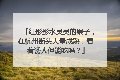 红彤彤水灵灵的果子，在杭州街头大量成熟，看着诱人但能吃吗？