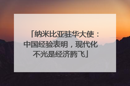 纳米比亚驻华大使：中国经验表明，现代化不光是经济腾飞