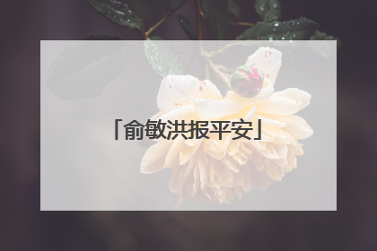 俞敏洪报平安