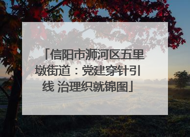 信阳市浉河区五里墩街道：党建穿针引线 治理织就锦图