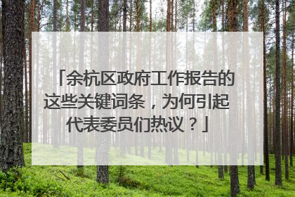余杭区政府工作报告的这些关键词条，为何引起代表委员们热议？