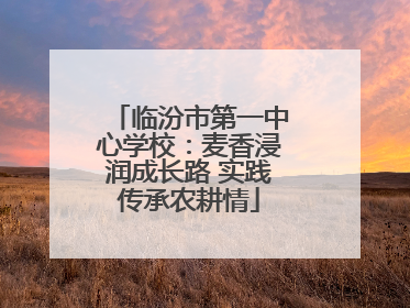 临汾市第一中心学校：麦香浸润成长路 实践传承农耕情