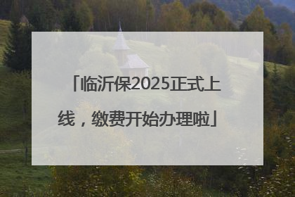 临沂保2025正式上线，缴费开始办理啦