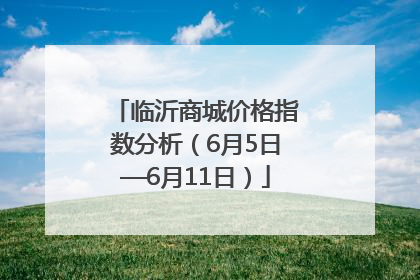 临沂商城价格指数分析（6月5日—6月11日）