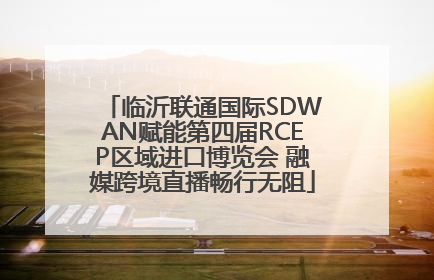 临沂联通国际SDWAN赋能第四届RCEP区域进口博览会 融媒跨境直播畅行无阻