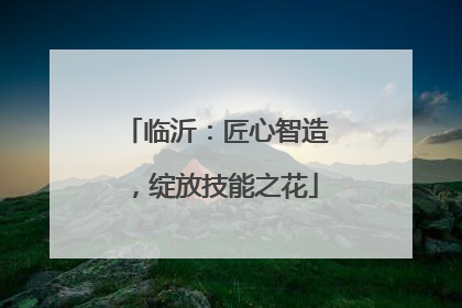 临沂：匠心智造，绽放技能之花