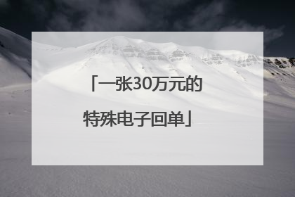 一张30万元的特殊电子回单