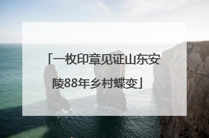 一枚印章见证山东安陵88年乡村蝶变