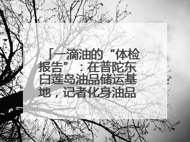 一滴油的“体检报告”：在普陀东白莲岛油品储运基地，记者化身油品化验员