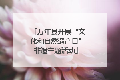 万年县开展“文化和自然遗产日”非遗主题活动