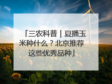 三农科普｜夏播玉米种什么？北京推荐这些优秀品种