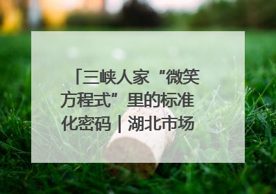 三峡人家“微笑方程式”里的标准化密码｜湖北市场监管所的故事