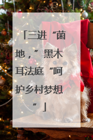 三进“菌地，”黑木耳法庭“呵护乡村梦想”