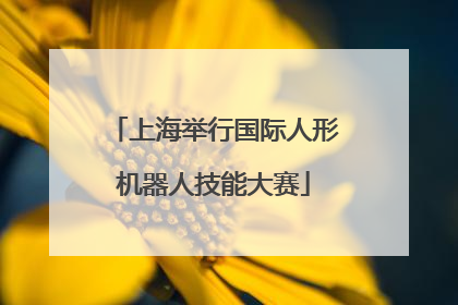 上海举行国际人形机器人技能大赛