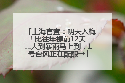 上海官宣：明天入梅！比往年提前12天……大到暴雨马上到，1号台风正在酝酿→