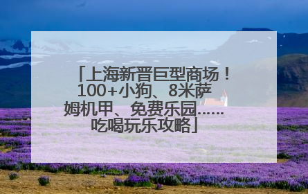 上海新晋巨型商场！100+小狗、8米萨姆机甲、免费乐园……吃喝玩乐攻略