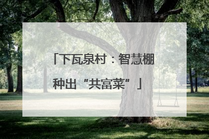 下瓦泉村：智慧棚种出“共富菜”