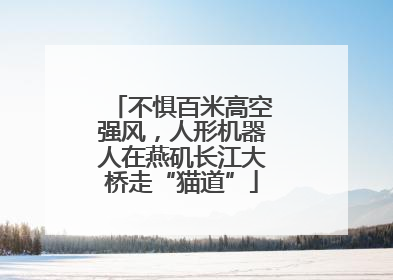 不惧百米高空强风，人形机器人在燕矶长江大桥走“猫道”