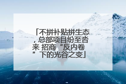不拼补贴拼生态，总部项目纷至沓来 招商“反内卷”下的光谷之变