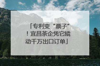 专利变“票子”！宜昌茶企凭它撬动千万出口订单