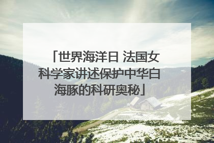 世界海洋日 法国女科学家讲述保护中华白海豚的科研奥秘