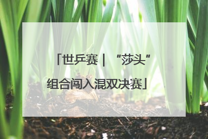 世乒赛｜“莎头”组合闯入混双决赛