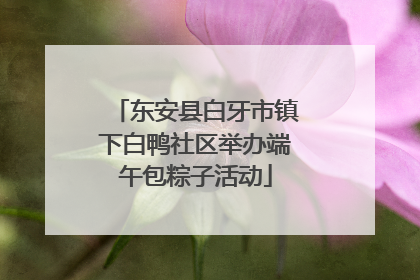 东安县白牙市镇下白鸭社区举办端午包粽子活动
