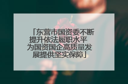 东营市国资委不断提升依法履职水平 为国资国企高质量发展提供坚实保障