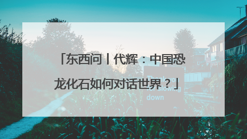 东西问丨代辉：中国恐龙化石如何对话世界？