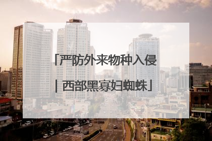 严防外来物种入侵｜西部黑寡妇蜘蛛