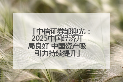 中信证券邹迎光：2025中国经济开局良好 中国资产吸引力持续提升