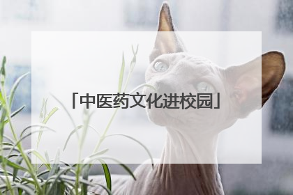 中医药文化进校园