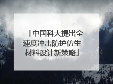 中国科大提出全速度冲击防护仿生材料设计新策略