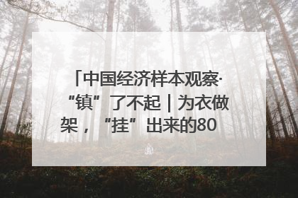 中国经济样本观察·“镇”了不起｜为衣做架，“挂”出来的80亿元“衣架产业”
