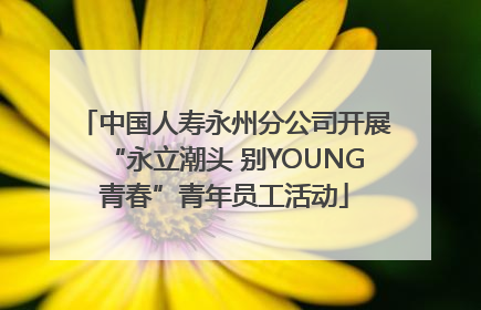 中国人寿永州分公司开展“永立潮头 别YOUNG青春”青年员工活动