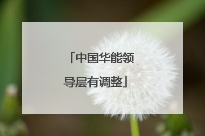 中国华能领导层有调整