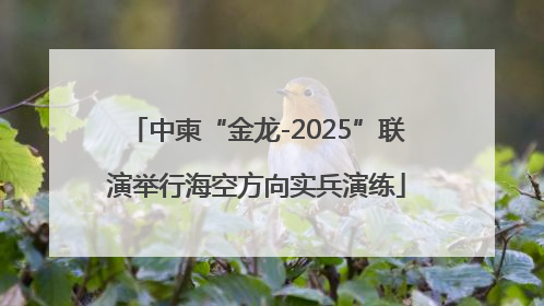中柬“金龙-2025”联演举行海空方向实兵演练
