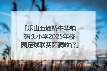 乐山五通桥牛华镇二码头小学2025年校园足球联赛圆满收官