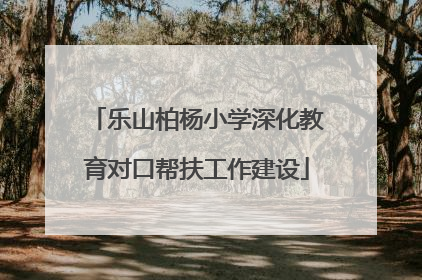 乐山柏杨小学深化教育对口帮扶工作建设