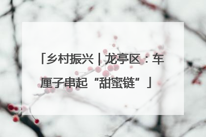 乡村振兴｜龙亭区：车厘子串起“甜蜜链”