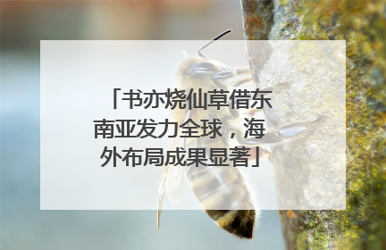 书亦烧仙草借东南亚发力全球，海外布局成果显著